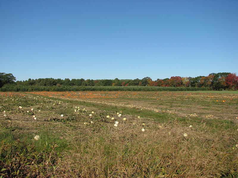 2008-10-11_Tiverton_Trustom 010.jpg